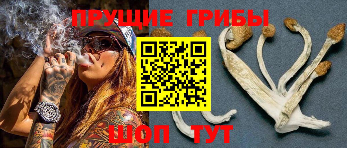 Псилоцибиновые грибы мухоморы  Вход с VPN  магазин продажи наркотиков  Галлюциногенные грибы прущие грибы  Петропавловск-Камчатский 