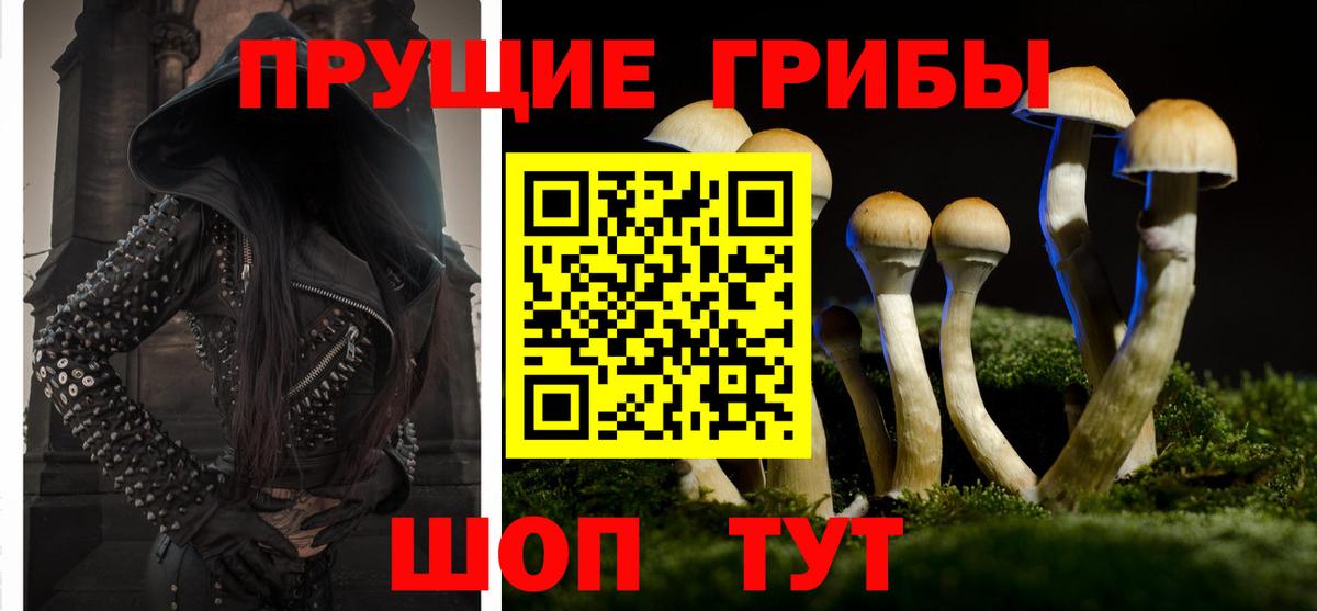 Галлюциногенные грибы прущие грибы Петропавловск-Камчатский